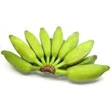 Plátano burro (mano)